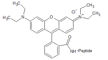 product-347-192 product-347-192