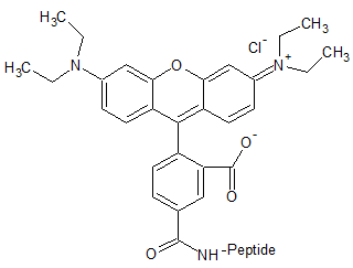 product-320-243 product-320-243