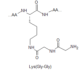 product-265-234 product-265-234